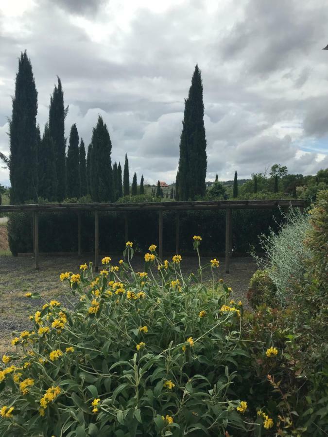 Casa Vacanze "Casale Al Pino" Riparbella Buitenkant foto